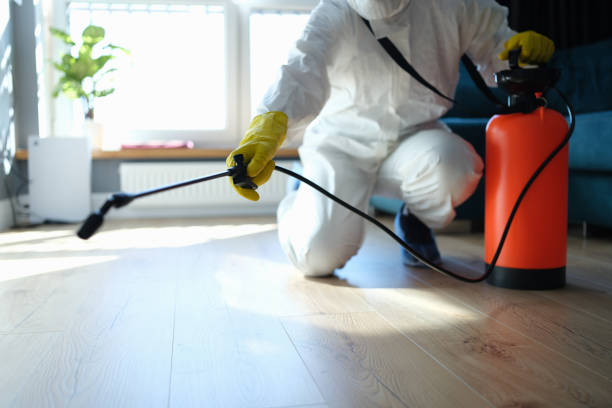 Flea Control Services in South Park, WY