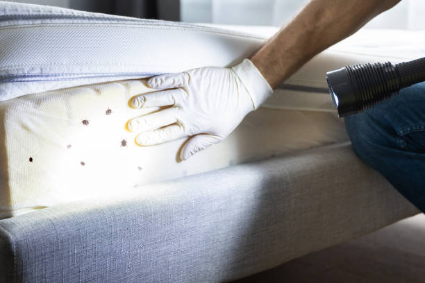 Best Residential Pest Control  in South Park, WY
