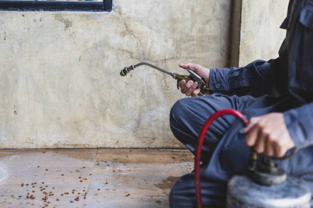 Best Mosquito Control Services  in South Park, WY